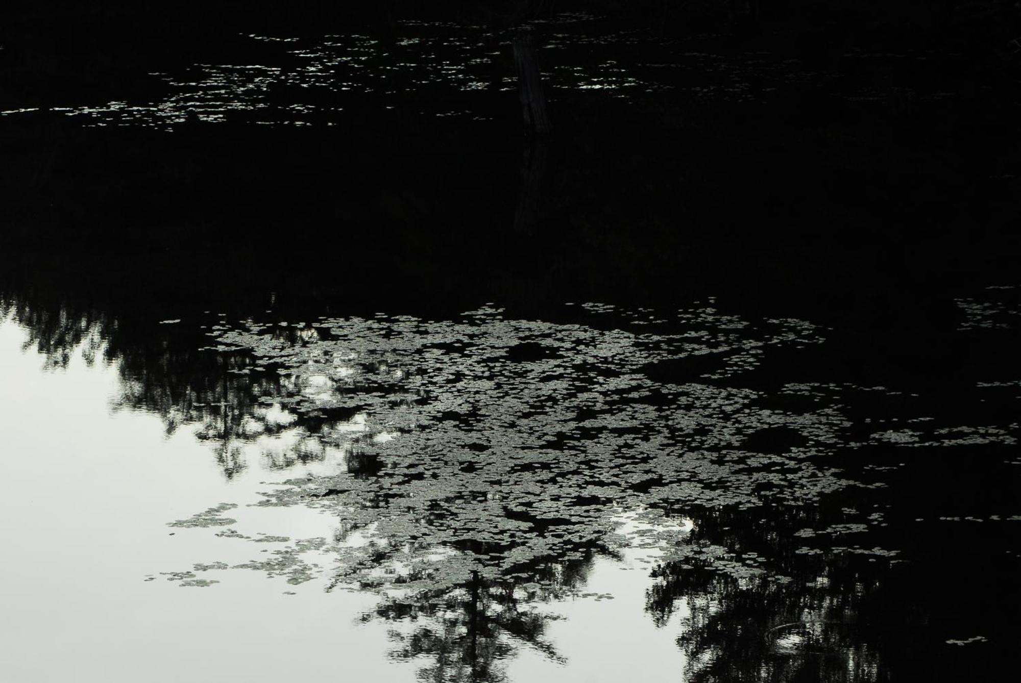 The Pines Cottage Resort Oxtongue Lake エクステリア 写真