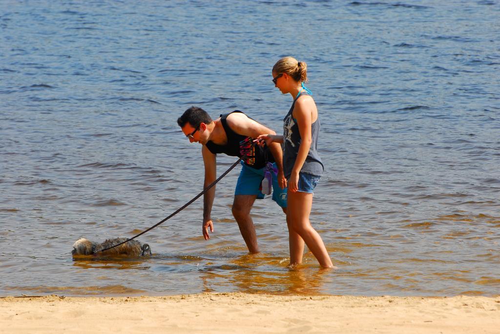 The Pines Cottage Resort Oxtongue Lake エクステリア 写真